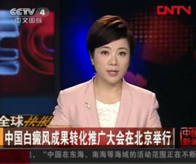 CCTV4报道:白癜风成果转化推广大会在北京隆重召开